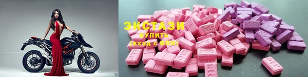 гидра Богданович