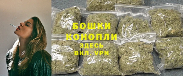 гидра Богданович