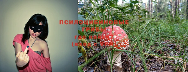 спиды Белокуриха