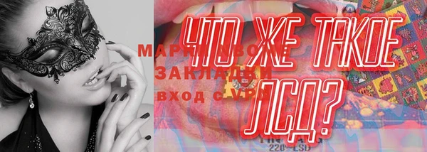 спиды Белокуриха