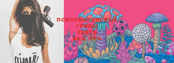 прущая мука Богородск