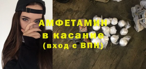 гидра Богданович