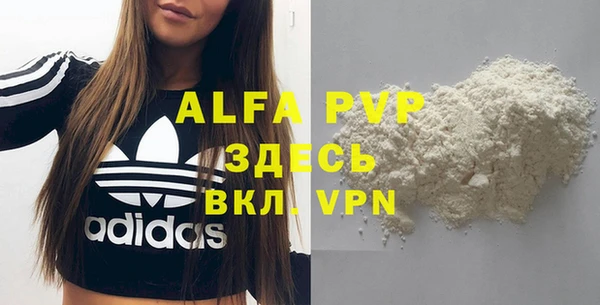 гидра Богданович
